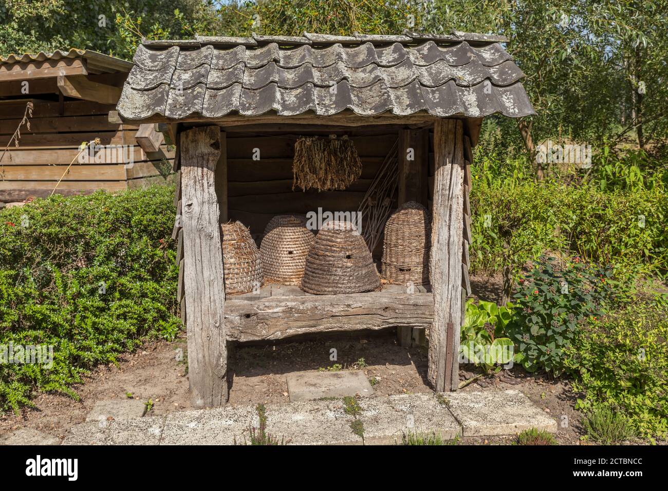 Ruches traditionnelles retournées de la paille dans un jardin avec des plantes et fleurs spéciales pour les abeilles et les insectes Banque D'Images