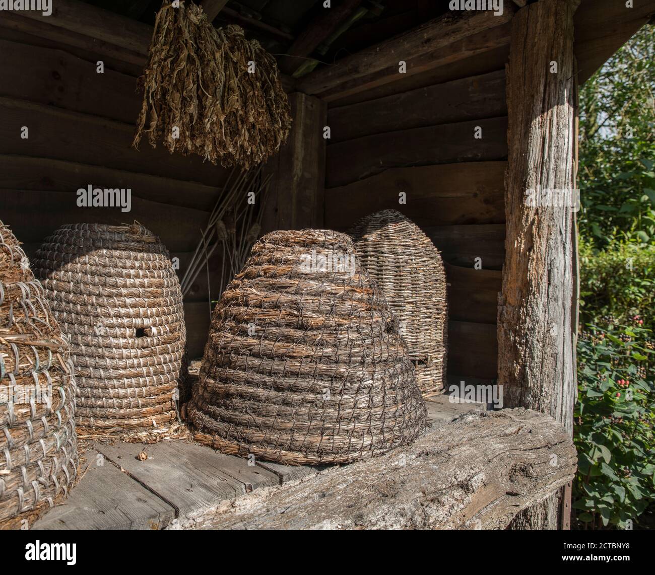 Ruches traditionnelles retournées de la paille dans un jardin avec des plantes et fleurs spéciales pour les abeilles et les insectes Banque D'Images