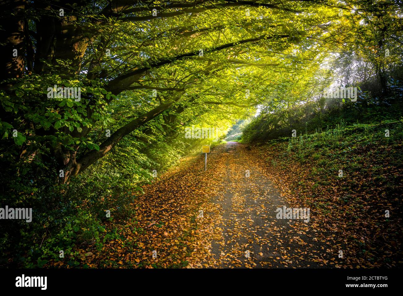 Premier jour d'automne à Brungerley Park, Clitheroe, Ribble Valley, Royaume-Uni. Banque D'Images