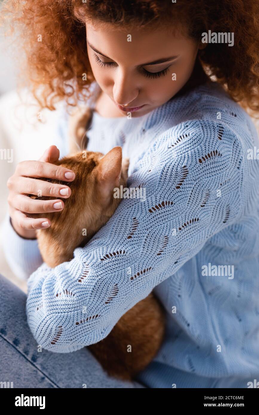 Attention sélective de la femme curly dans le chandail embrassant le chat de gingembre Banque D'Images