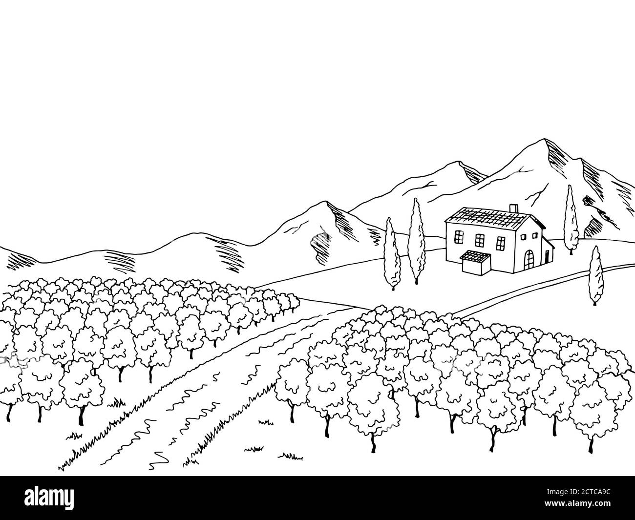 Vignoble art graphique noir blanc paysage dessin illustration vecteur Illustration de Vecteur