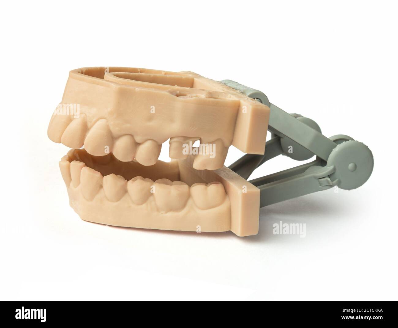 Dents imprimées par une imprimante 3d. Mâchoire supérieure et inférieure pour adulte. Utilisé pour créer des aligneurs, des gardes de nuit, des bretelles, des couronnes, des prothèses dentaires et des guides chirurgicaux, Isola Banque D'Images