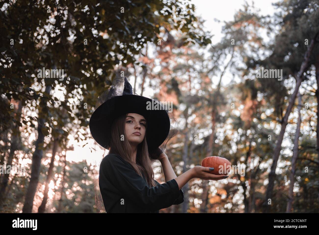 Jeune mignonne belle femme en robe sombre et chapeau de sorcière tient une citrouille orange dans ses mains. Costume de fête d'Halloween. Forêt, parc avec arbres d'automne Banque D'Images