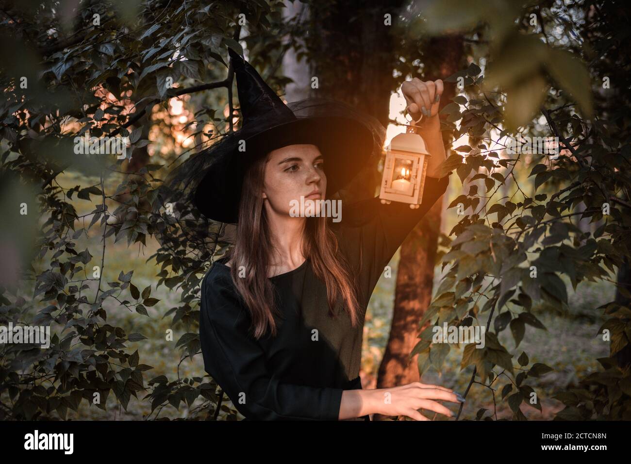 Une jeune femme en robe sombre et chapeau de sorcière tient une lanterne avec des bougies dans ses mains et illumine la forêt. Costume de fête d'Halloween. Garez-vous avec l'autom Banque D'Images