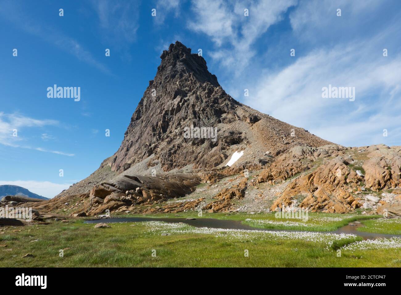 Pic de montagne escarpé et érodé, à pied un ruisseau de montagne calme et frais avec le coton de Scheuchzer Banque D'Images