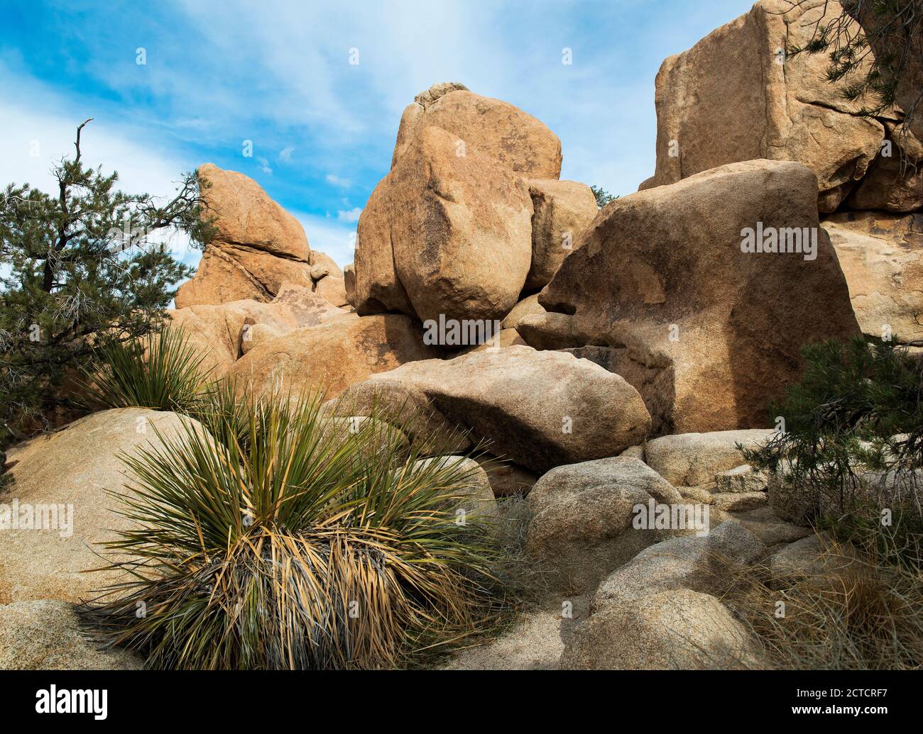 Paysage du désert avec Rock formation, parc national de Joshua Tree, Californie Banque D'Images