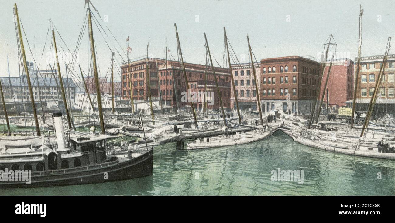 Huître aux Docks, Baltimore, Md., image fixe, cartes postales, 1898 - 1931 Banque D'Images