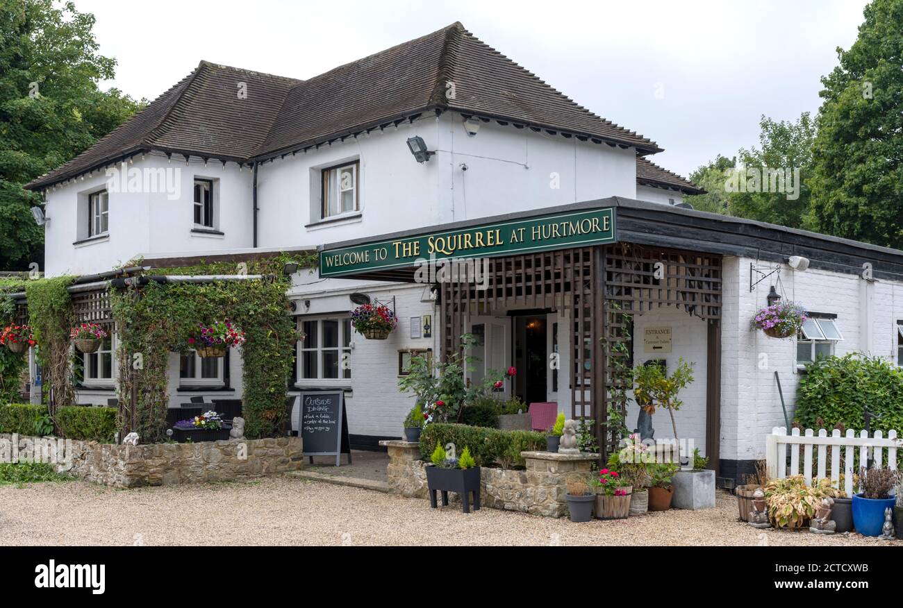 The Squirrel Inn - public House - Hurtmore Road, Hurtmore, Godalming, Surrey, Angleterre, Royaume-Uni Banque D'Images
