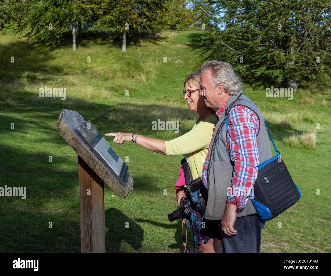 Blenheim Palace Woodstock - vue d'un couple étudiant le office d'information touristique sur l'arbre Harry Potter - cèdre du liban Banque D'Images