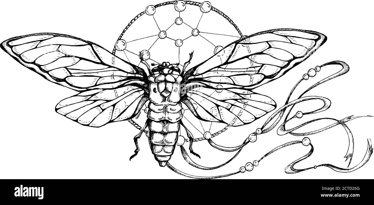 dreamcatcher dessiné à la main avec plumes, papillon. Talisman indien américain de style boho. Symbole ethnique tribal pour la mode, le textile, l'imprimé, l'affiche. Illustration de Vecteur