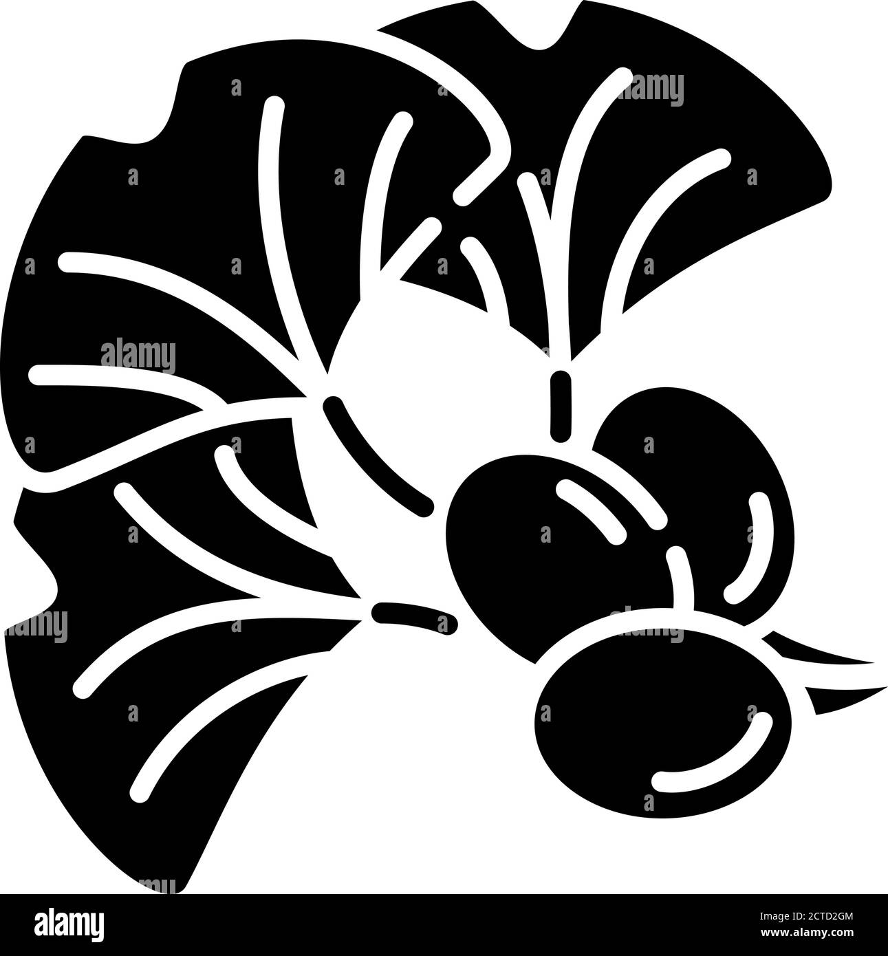 Ginkgo biloba icône en glyphe noir Illustration de Vecteur