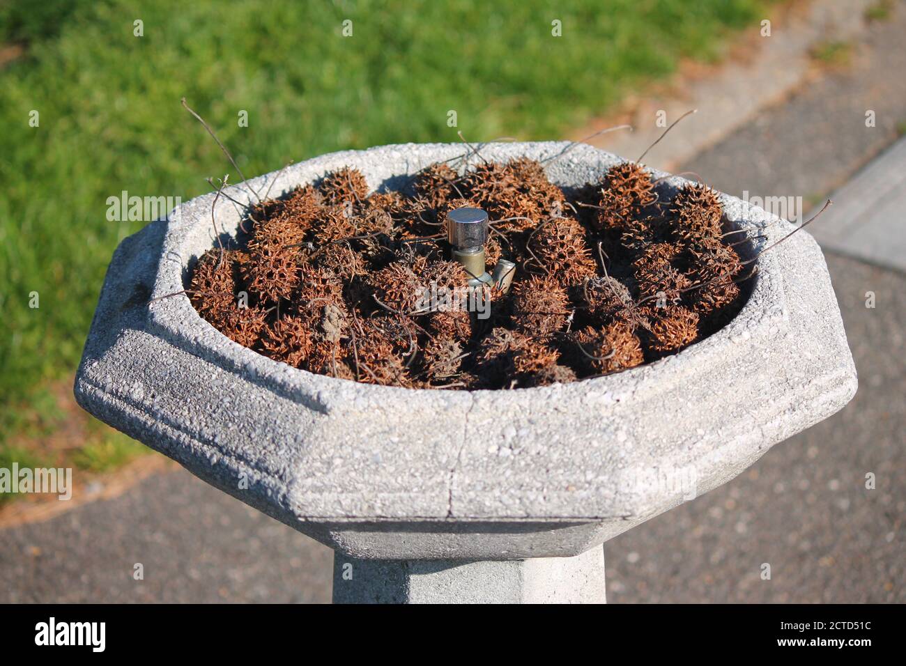 Les fruits séchés dans la fontaine en marbre Banque D'Images