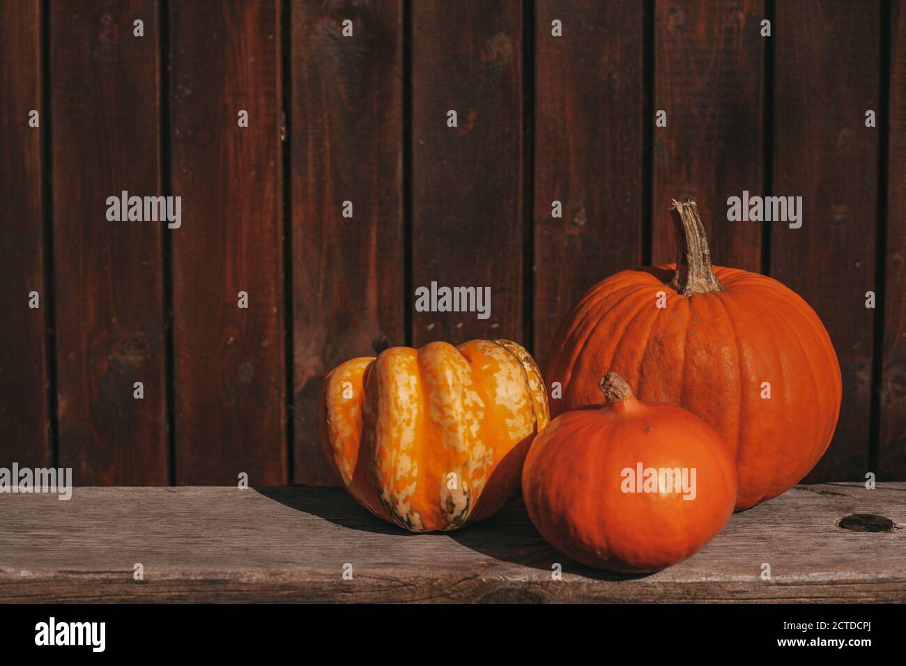 Trois citrouilles orange sur un banc en bois rustique. Arrière-plan en bois. Concept Hello Autumn. Thanksgiving, automne, automne concept. Banque D'Images