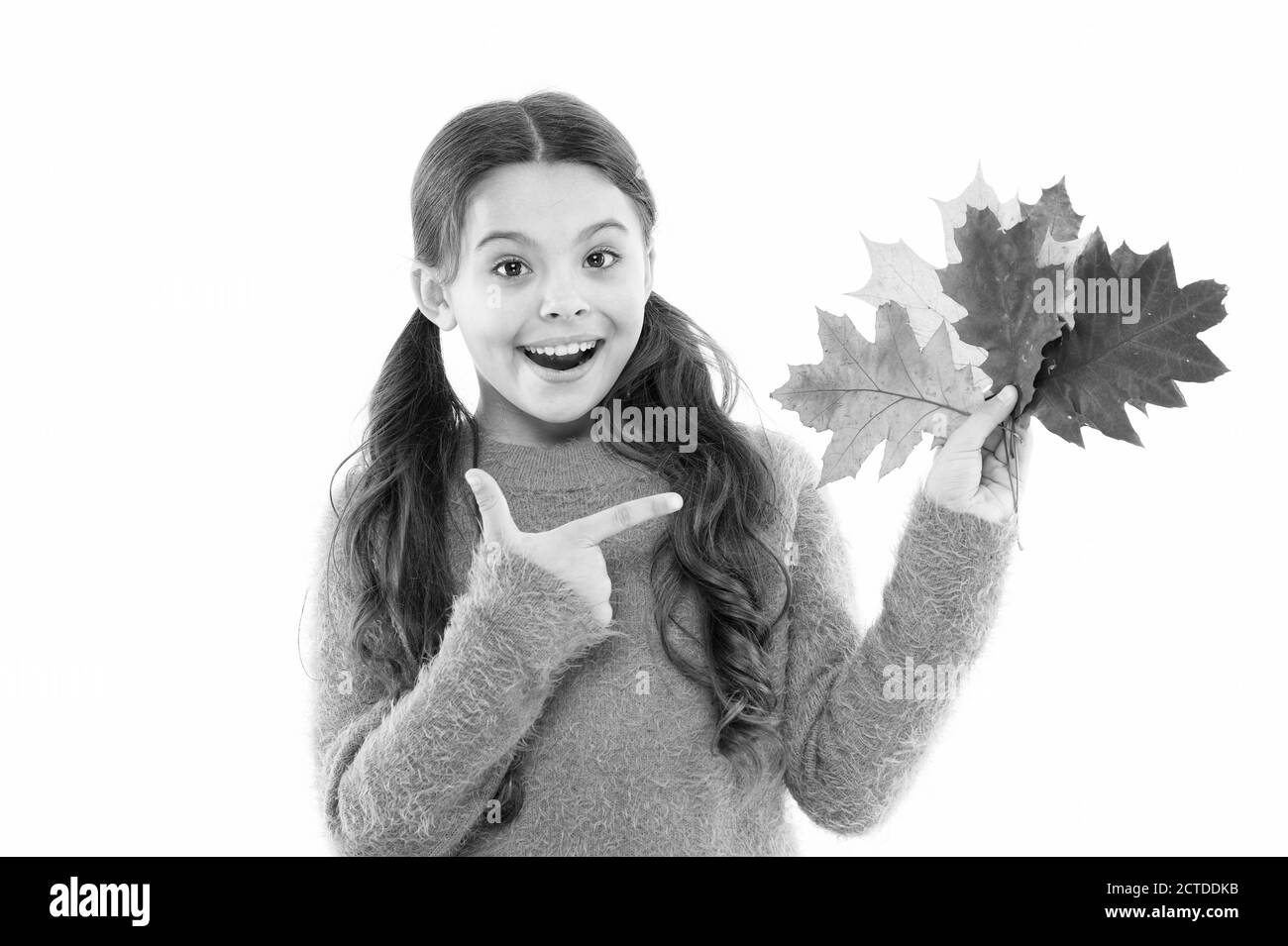 La vie est impressionnant. Essayez le sirop d'érable. petite fille feuilles d'érable. Peu d'enfant à se sentir l'unité avec la nature. recueillir des couleurs d'automne. beauté de saison d'automne. enfance heureuse. école fille bouquet foliaire. voyage au Canada. Banque D'Images