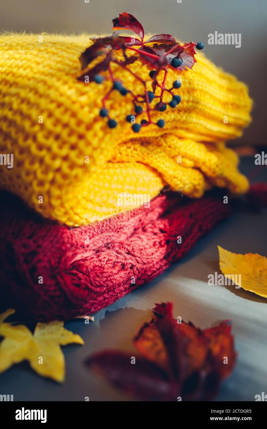 Vêtements d'automne. Chandail jaune et bordeaux recouvert de feuilles et de baies. Flat lay, vue de dessus Banque D'Images