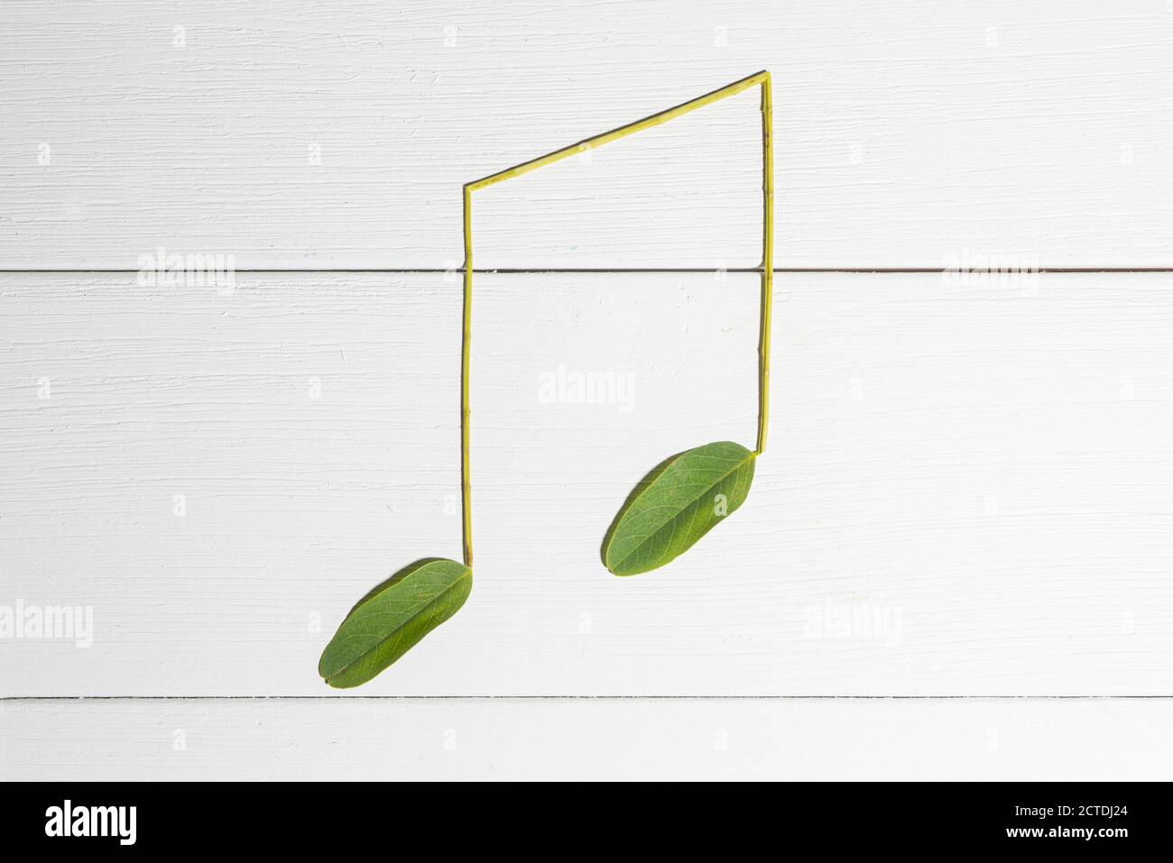 notes musicales avec des feuilles placées sur un bois blanc surface Banque D'Images