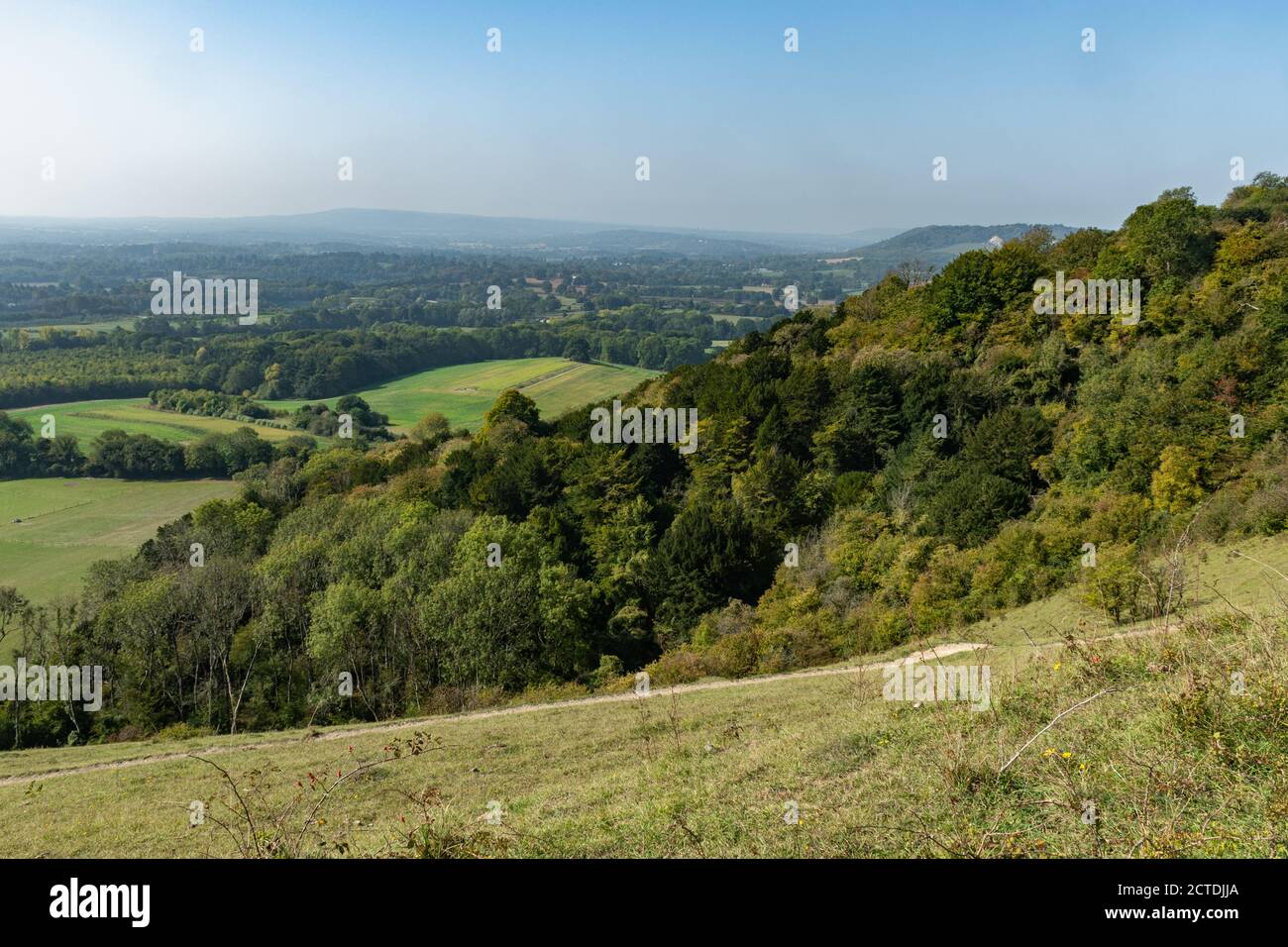 Vue sur le paysage depuis Colley Hill dans la région de Surrey Hills d'une beauté naturelle exceptionnelle en septembre, au Royaume-Uni Banque D'Images