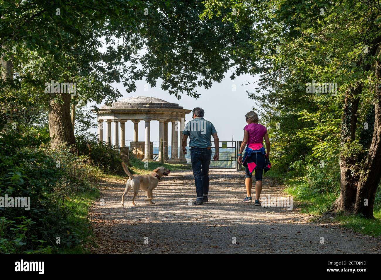 Couple marchant avec un chien dans une forêt approchant du Mémorial Inglis, un point de repère sur Colley Hill dans l'AONB de Surrey Hills, au Royaume-Uni Banque D'Images