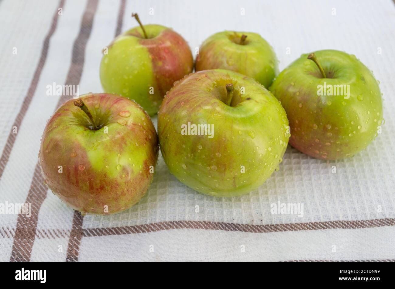 Petite pile de pommes rouges-vertes fraîchement lavées, avec des gouttelettes d'eau sur la peau, sur une nappe en tissu gaufré blanc avec bordure encadrée de brun Banque D'Images