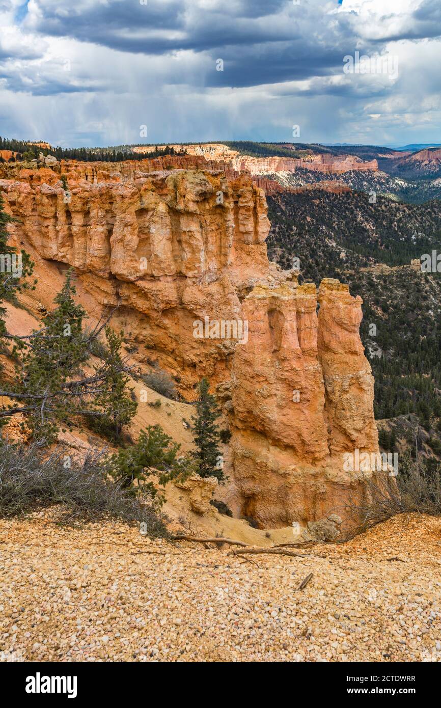 Vue sur Black Birch Canyon dans le parc national de Bryce Canyon, Utah Banque D'Images