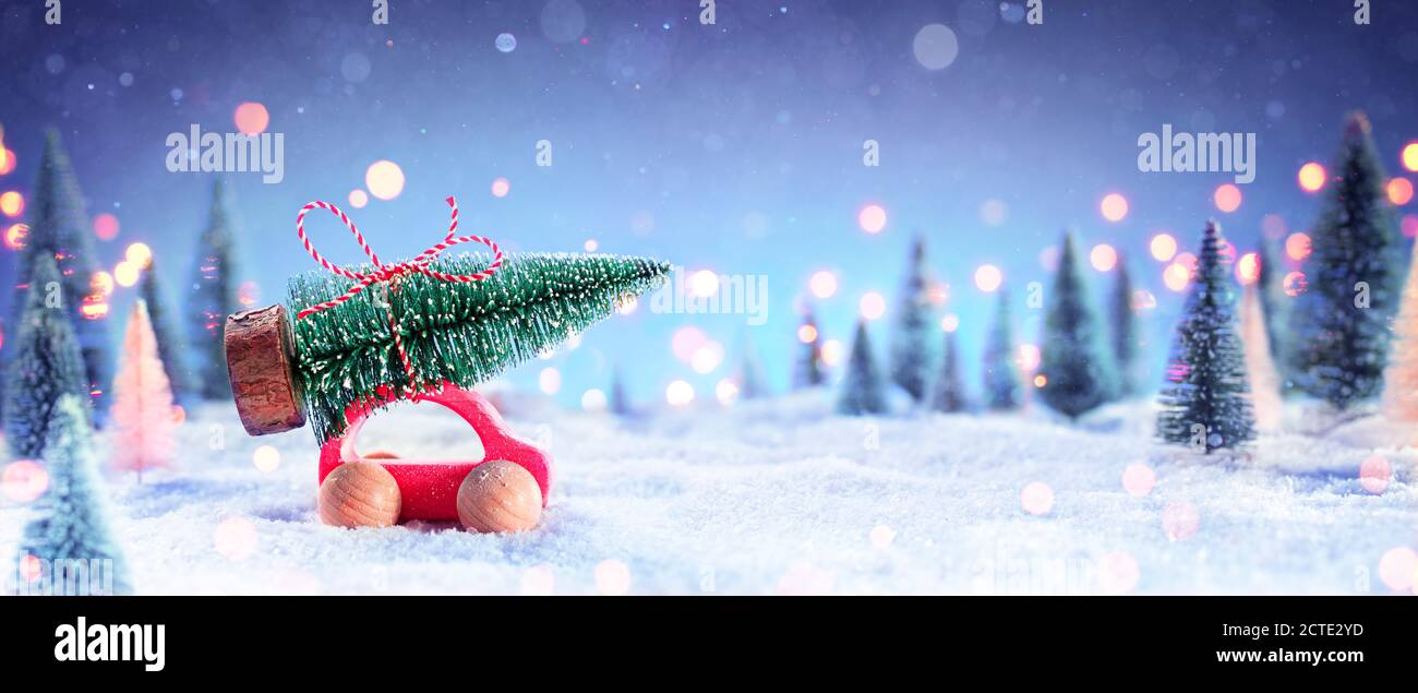 Voiture portant UN arbre de Noël dans la forêt de Snowy à Nuit Banque D'Images