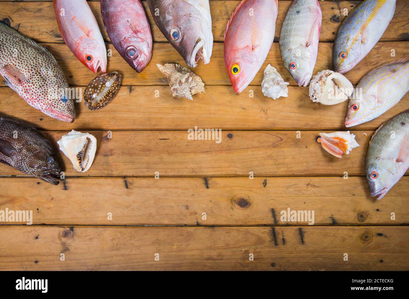 Poisson frais des Caraïbes, fruits de mer sur une ancienne table en bois. Vue de dessus. Gros plan. Banque D'Images