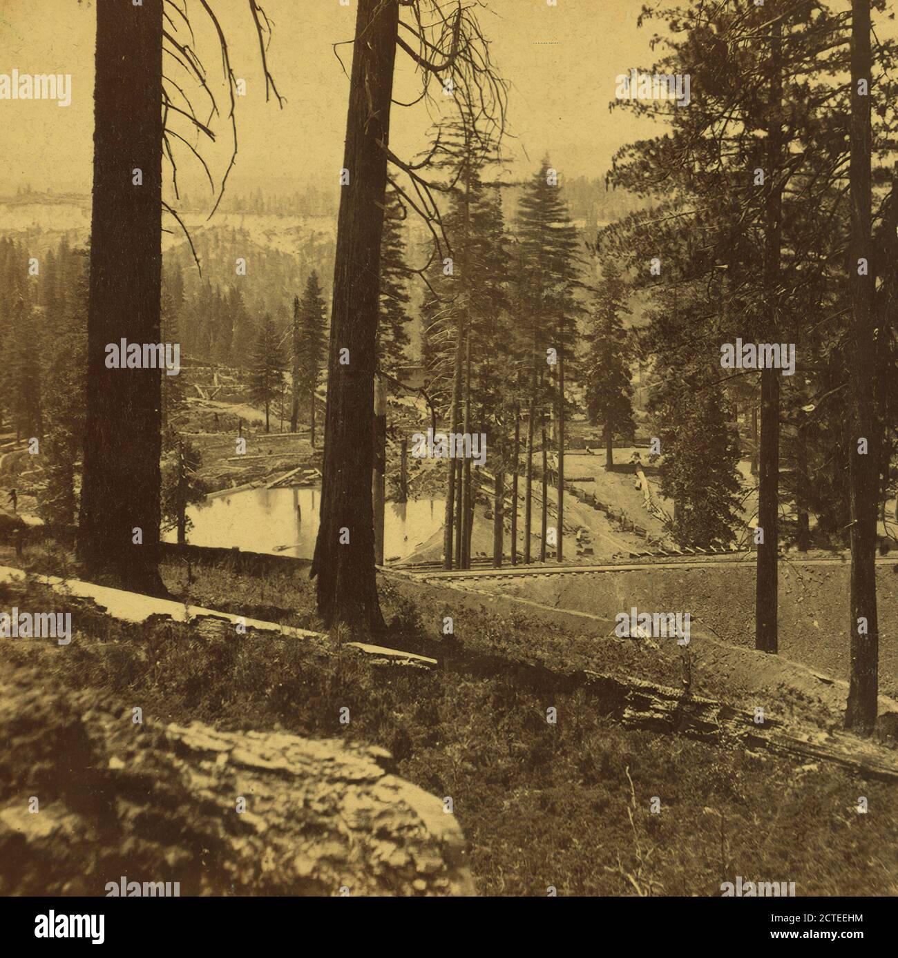 Vue sur la forêt, près de Dutch Flat, comté de placer, Watkins, Carleton E. (1829-1916), Central Pacific Railroad Company Banque D'Images