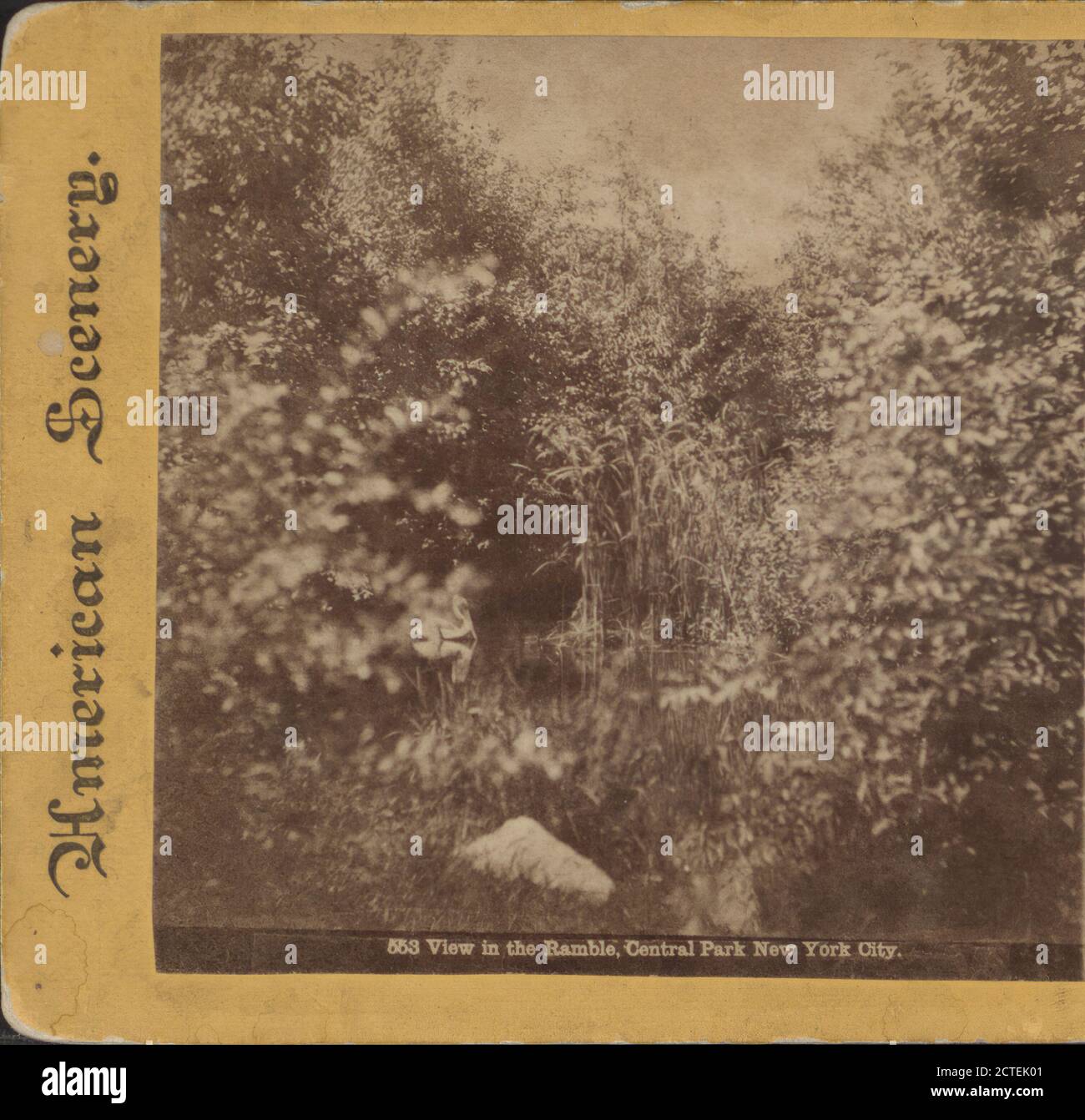 Vue sur le déchaînement, Central Park, New York, New York (État), New