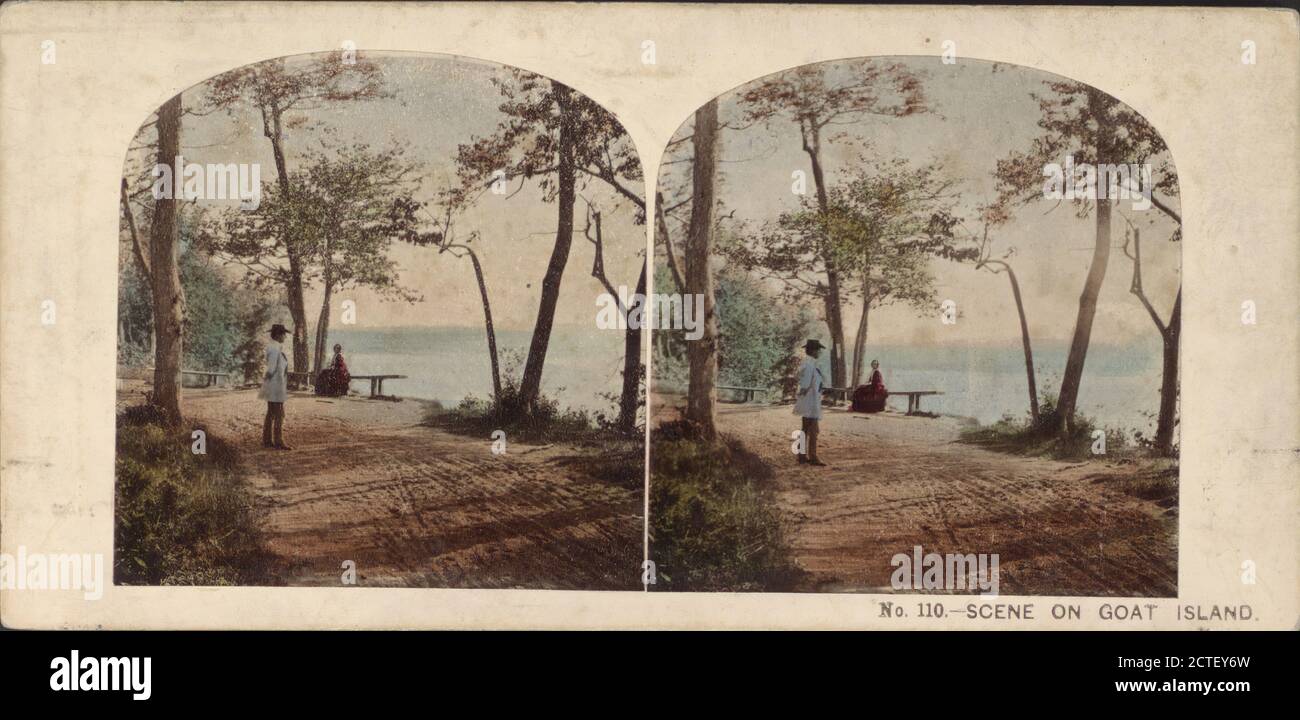 Scène sur Goat Island., Angleterre, William (d. 1896), London Stereoscopic Company, New York (État), Niagara Falls (N.Y. et ont Banque D'Images