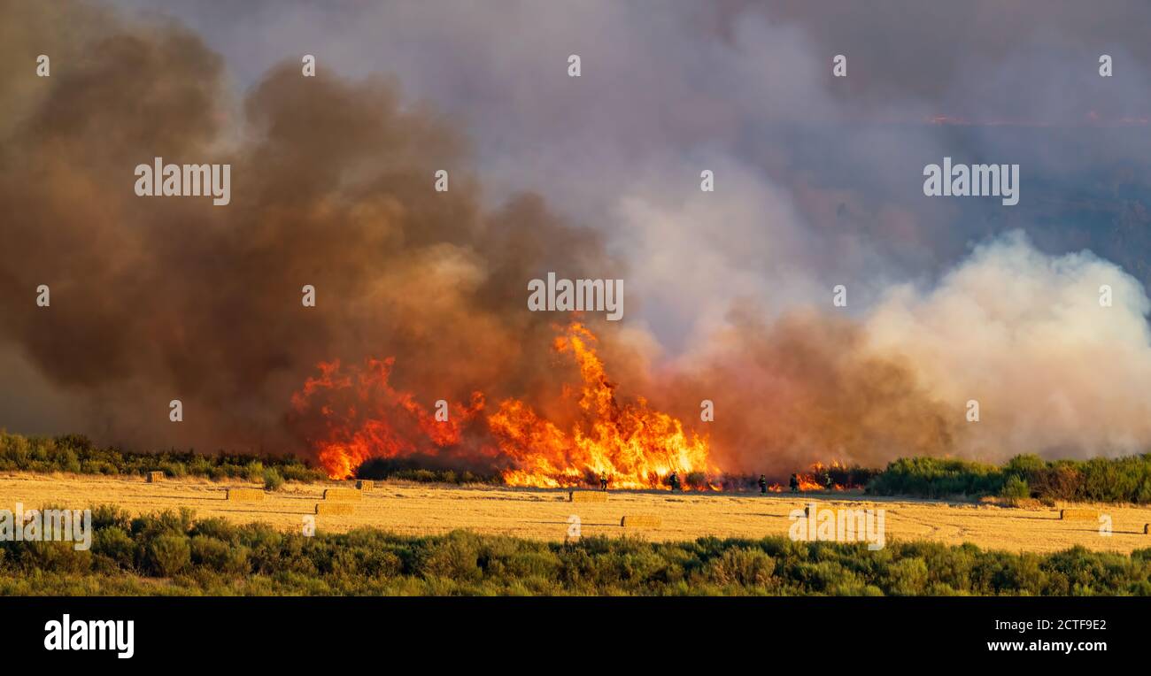 Coup de feu spectaculaire sur la première ligne Banque D'Images