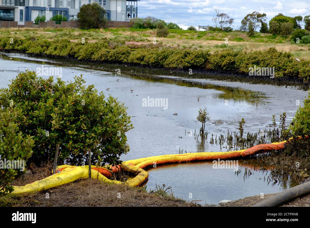 Pollution dans les zones humides de Paisley-Challis, Williamstown North, Melbourne, Victoria, Australie Banque D'Images