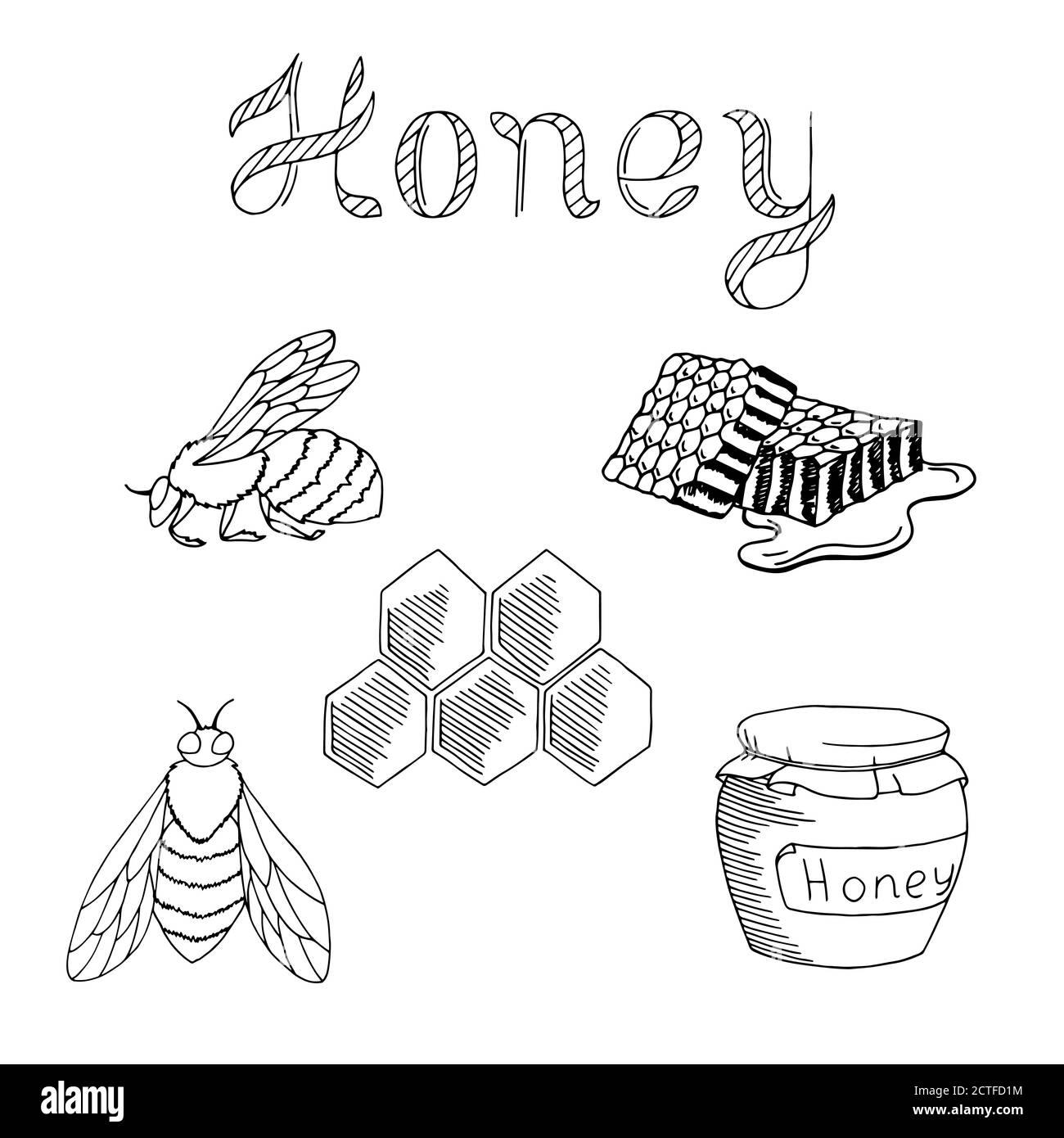 Honey Bee set texte art graphique noir blanc isolé illustration vecteur Illustration de Vecteur