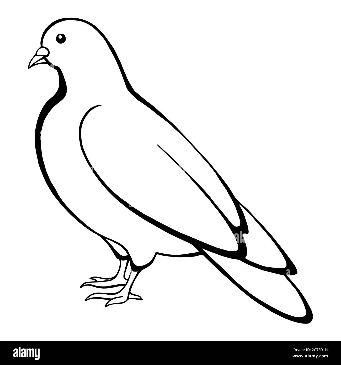 Oiseau colombe noir blanc isolé esquisse vecteur d'illustration Illustration de Vecteur