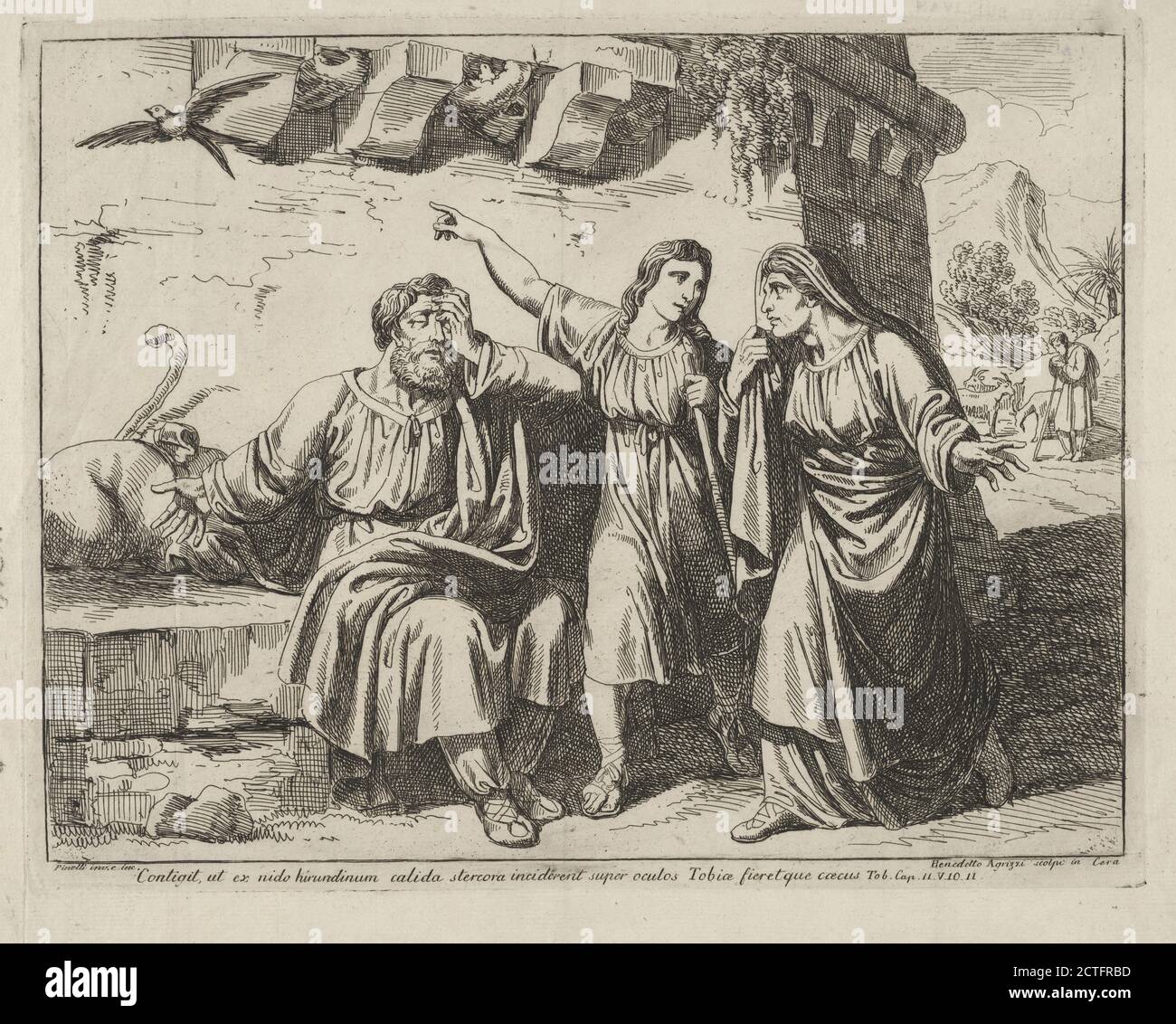Contigit ut ex nido hirundinum calida..., image fixe, estampes, 1801 - 1835, Pinelli, Bartolomeo, 1781-1835, Agrizzi, Benedetto, actif XIXe siècle Banque D'Images