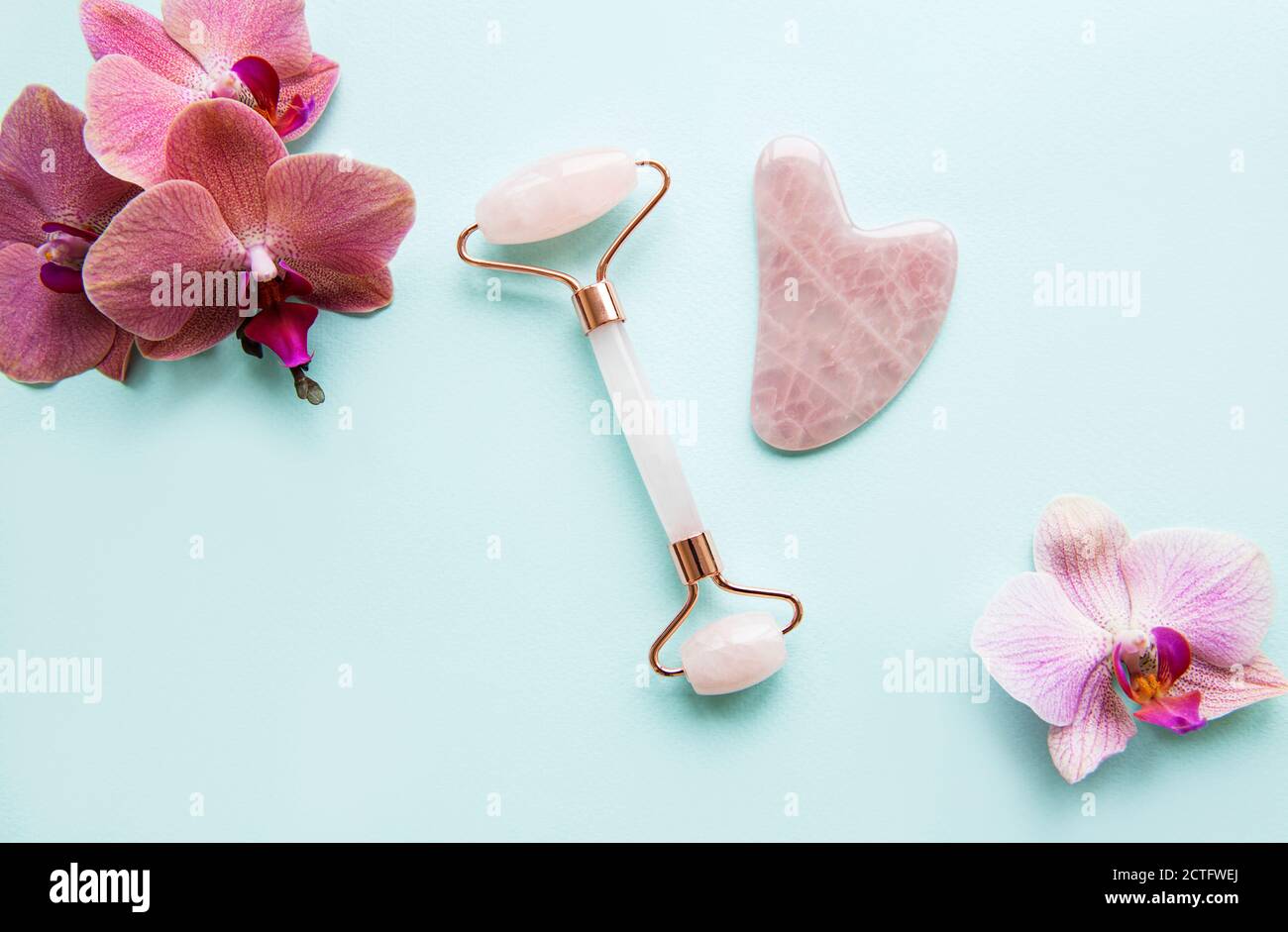 Rouleau pour Jade massage du visage. Gua Sha rose masseur facial outils. Anti age, levage et traitement tonifiant Banque D'Images