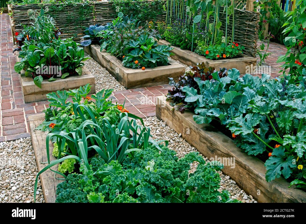 Jardin potager comestible pour enfants dans les lits surélevés Banque D'Images