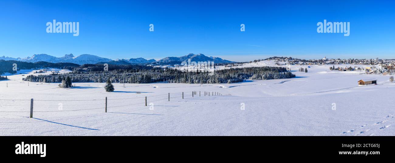 Nouvelle neige fraîche et matin d'hiver froid dans l'Allgäu - impressions des contreforts bavarois des Alpes près de Seeg. Banque D'Images