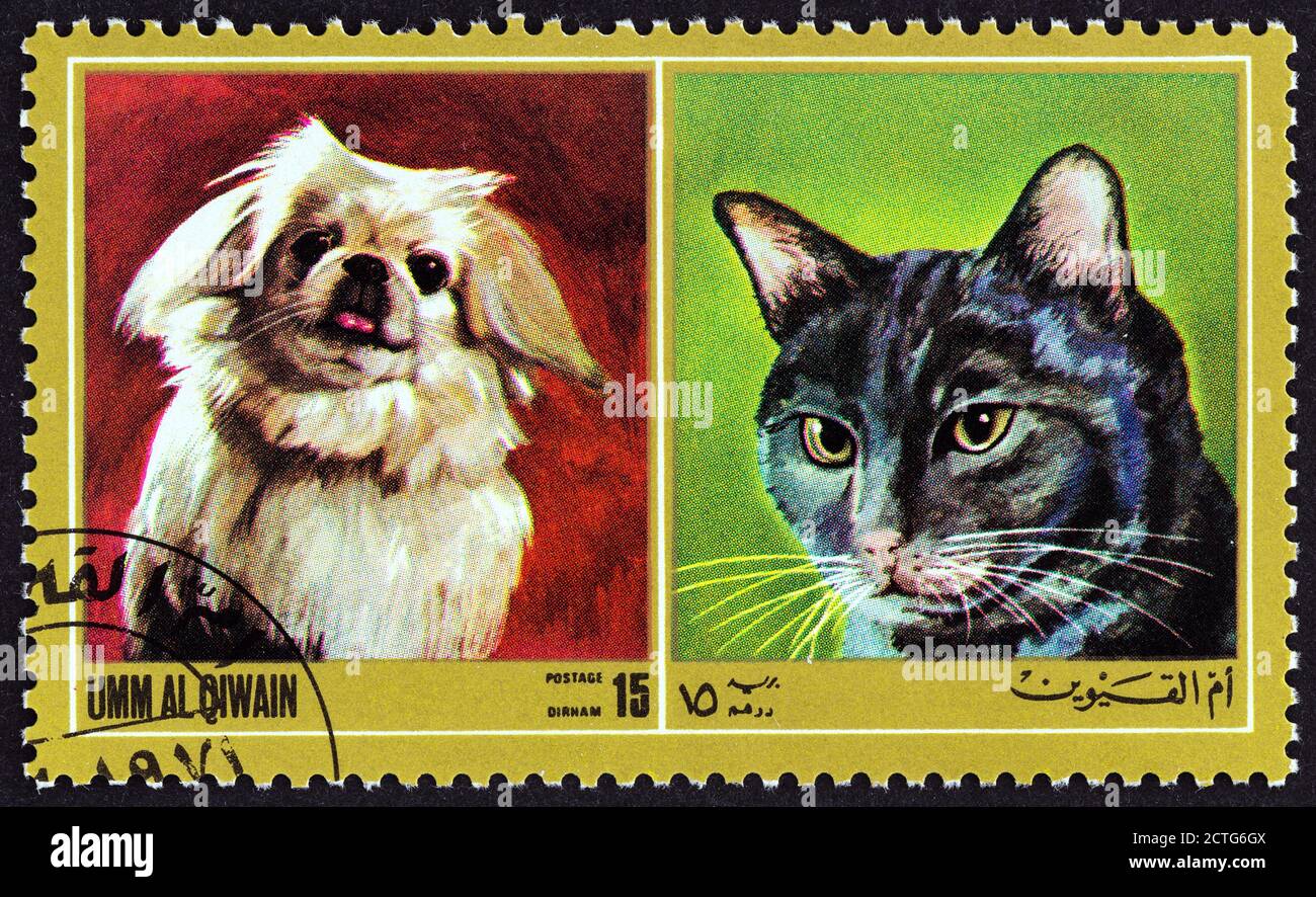 ÉMIRAT UMM AL QIWAIN - VERS 1972 : un timbre imprimé aux Émirats arabes Unis dans le numéro « Dogs and Cats » montre la race de chien et de chat, vers 1972. Banque D'Images