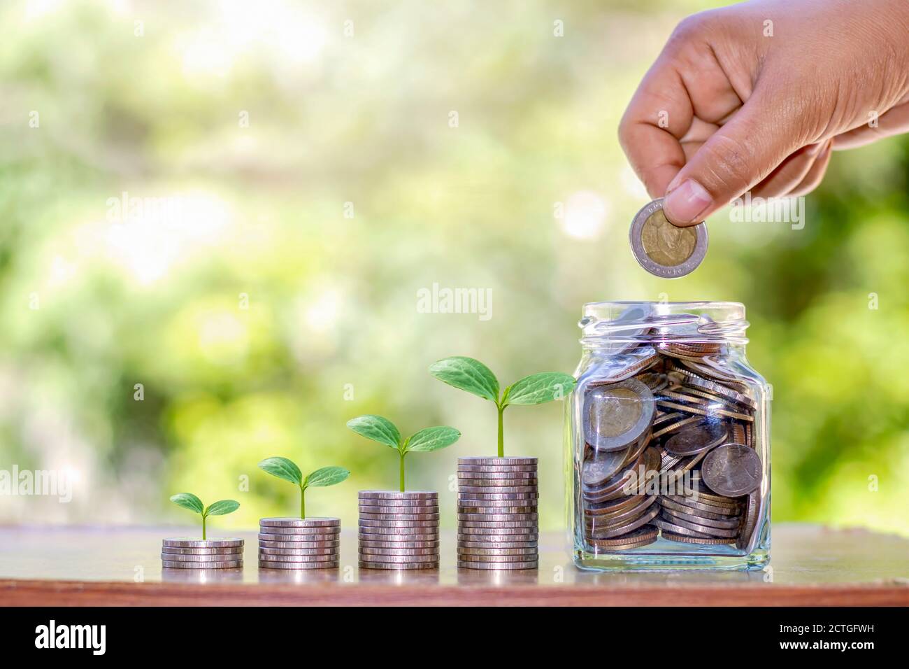 L'arbre pousse sur un tas de pièces, un pot d'argent pour économiser de l'argent, des idées, et pour croître financièrement et investir dans l'agriculture. Banque D'Images