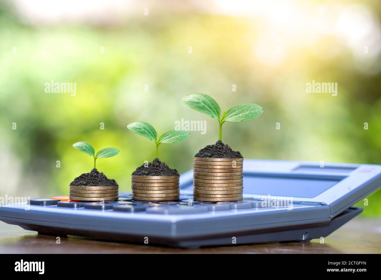 Plantez des arbres sur des pièces de monnaie et des calculatrices, des concepts de comptabilité financière et économisez de l'argent. Banque D'Images