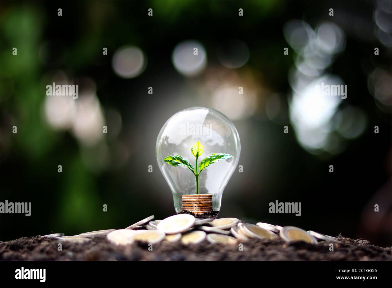 L'arbre pousse sur de l'argent dans des ampoules à économie d'énergie, le concept de croissance financière, d'économie d'énergie et de protection de l'environnement le jour de la Terre. Banque D'Images