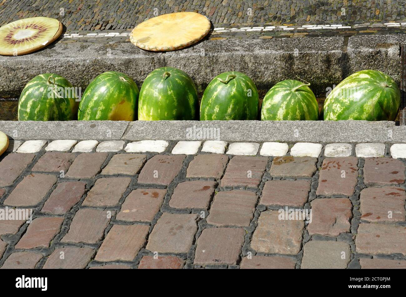 Les pastèques dans le petit ruisseau de ville appelé Bächle à Fribourg qui sont caractéristiques typiques de la ville. Les fruits refroidissent dans l'eau par temps chaud. Banque D'Images