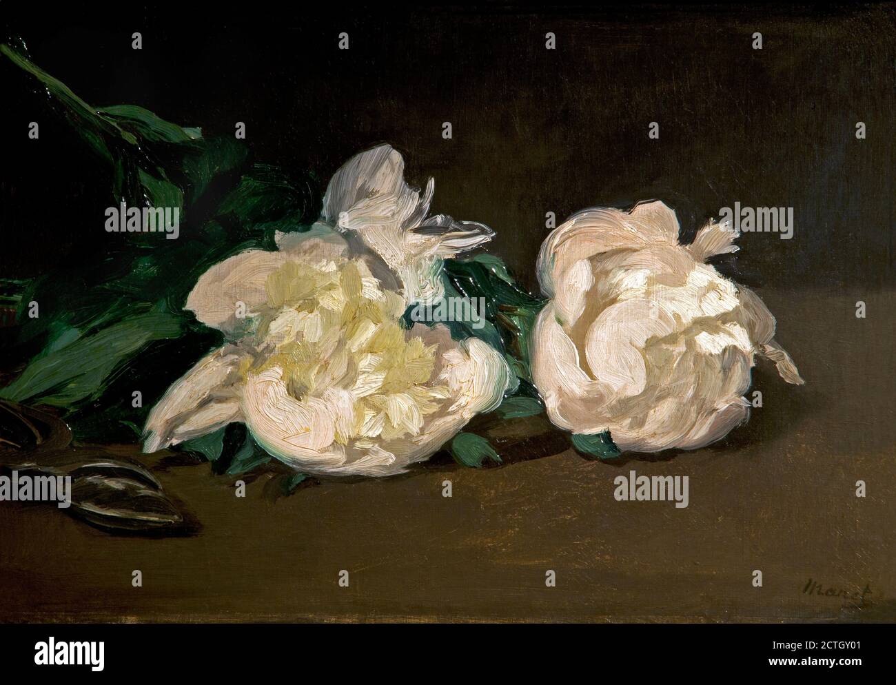 Edouard Manet 1832-1883. Branche de pivoines blanches et de ciseaux. 1864. peinture à l'huile sur toile cm 30,5 x 46,5. Banque D'Images