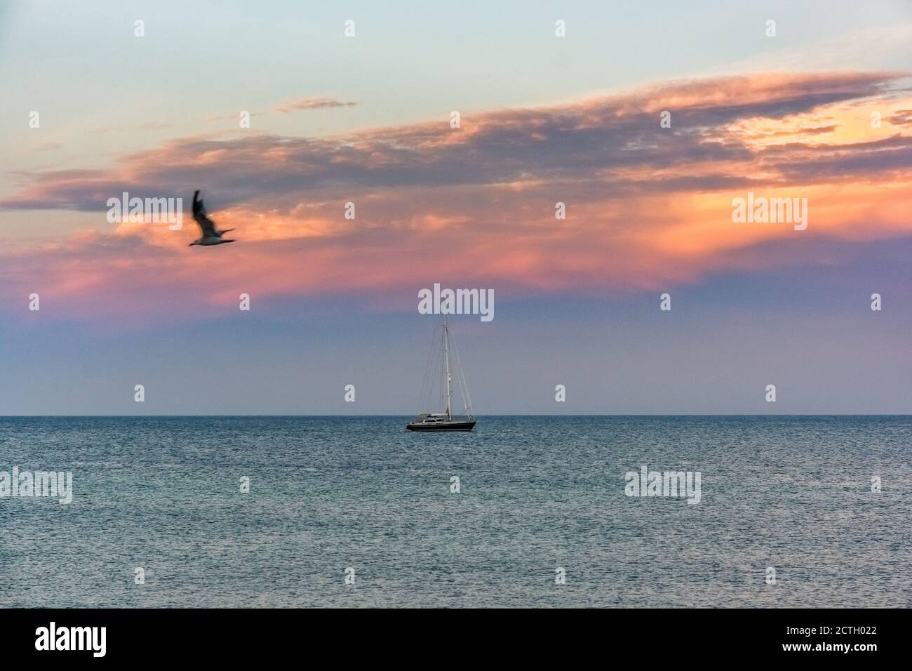 Mer avec bateau et oiseau au coucher du soleil Banque D'Images