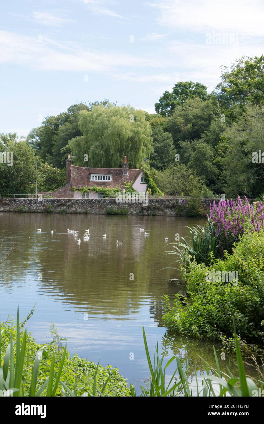 South Pond, Midhurst, West Sussex, été, oiseaux et fleurs, avec ancien cottage, parc national de South Downs Banque D'Images