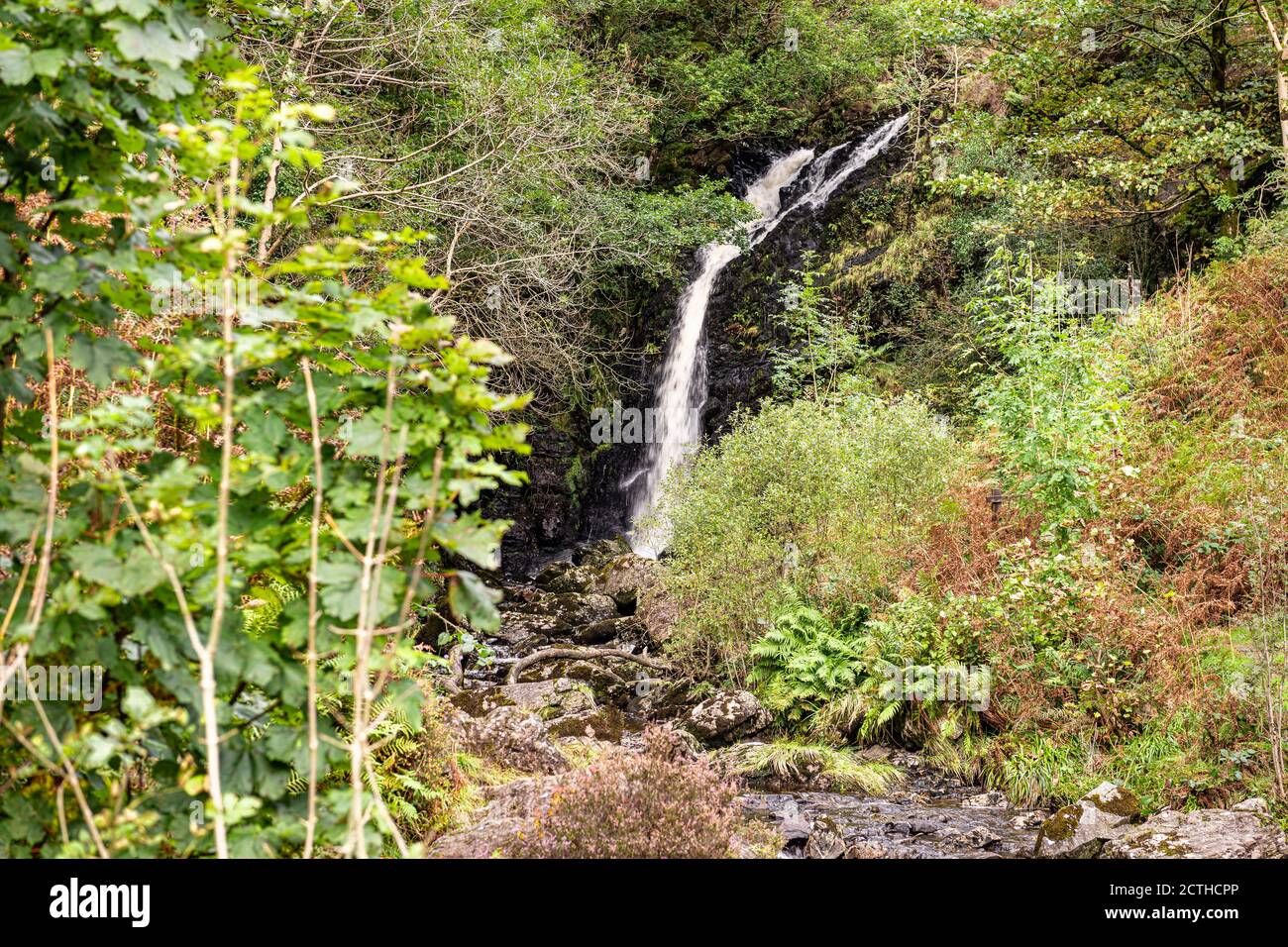 Chute d'eau de la queue de Grey Mare sur la queue de Grey Mare Le parc forestier de Galloway Banque D'Images