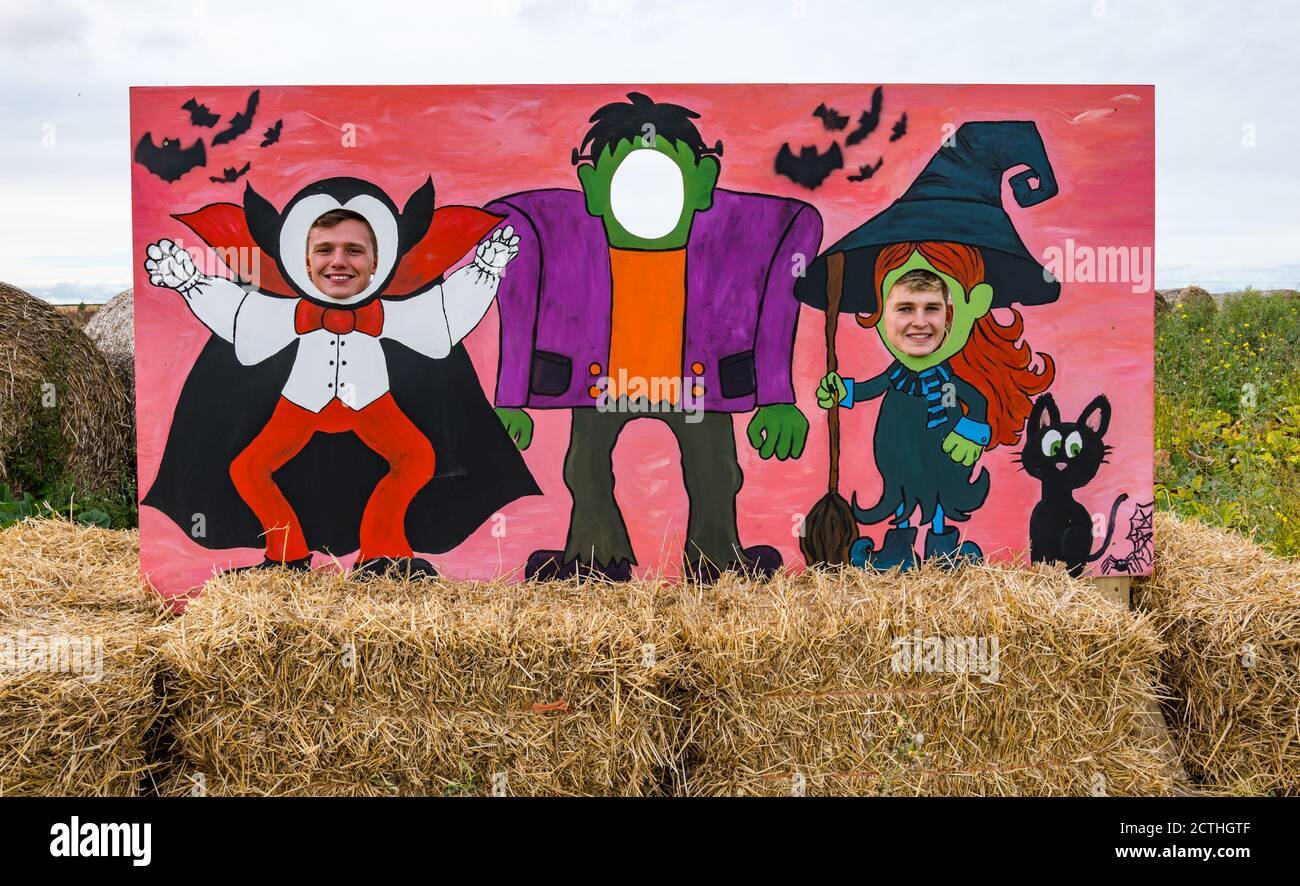 Balgone Farm, East Lothian, Écosse, Royaume-Uni, 23 septembre 2020. Pumpkin Patch: Les étudiants de l'université Alex Humphreys (22 étudier les affaires) et David Grant-Suttie (21 étudier l'économie) ont passé ensemble le confinement dans la ferme familiale de David et ont été inspirés de créer des citrouilles Balgone dans le cadre d'un projet de diversification. Le patch ouvre le 16 octobre pour les 3 derniers week-ends d'octobre avec des machines à sous à réserver et des mesures de distance sociale en place, photographiées (de gauche à droite) : Alex et David dans une découpe de thème d'Halloween Banque D'Images