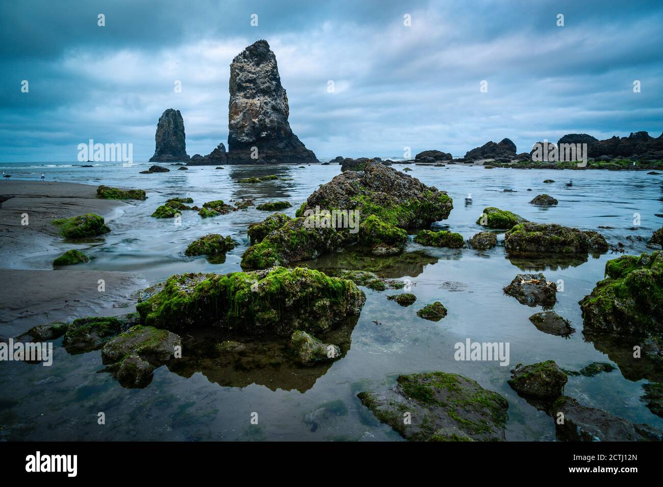 Lumière bleue spectaculaire sur les aiguilles à Cannon Beach, Oregon Banque D'Images