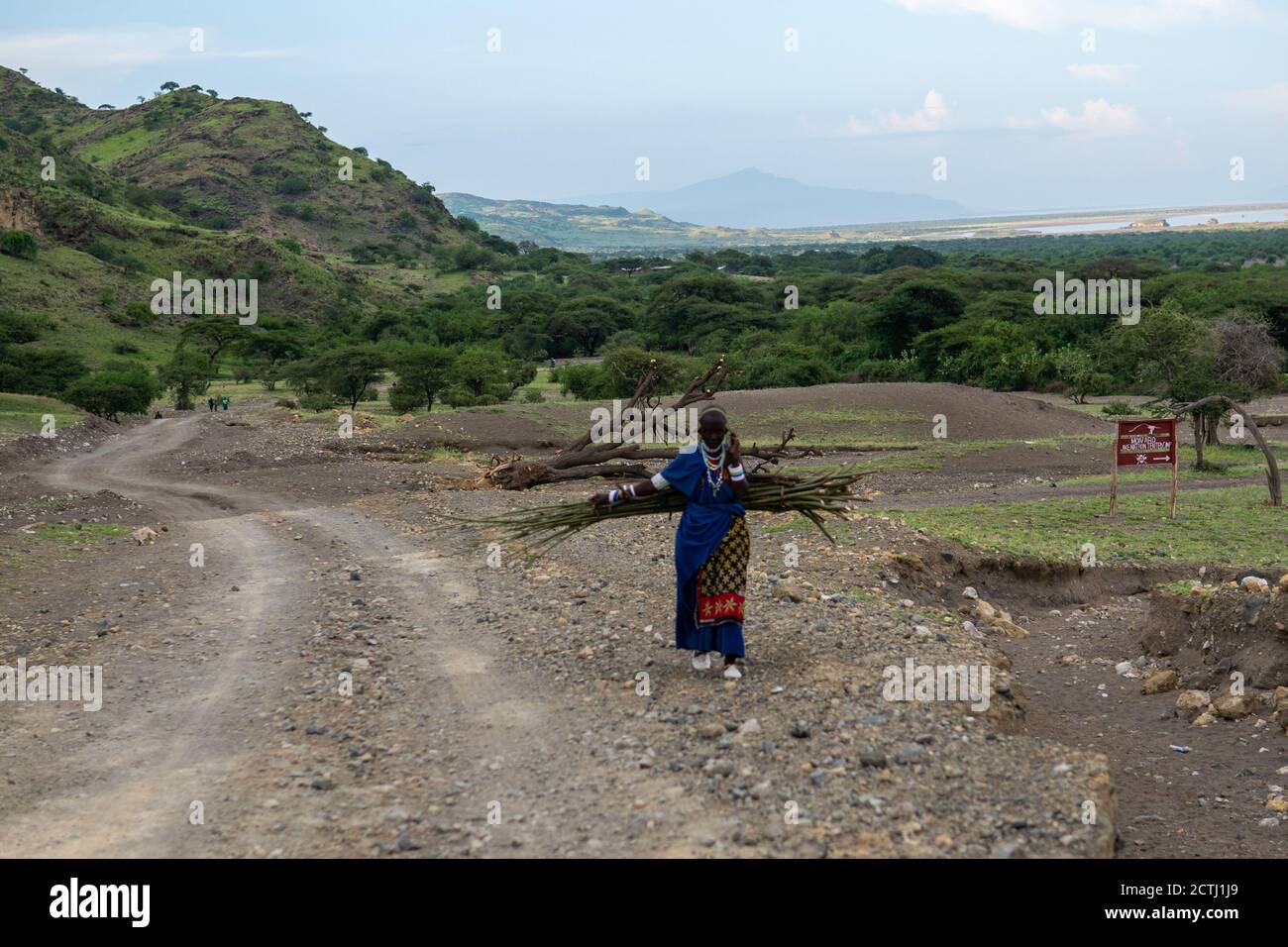 TANZANIE, AFRIQUE DE L'EST - JANVIER 2020 : une femme Masai en vêtements et armes traditionnels marche dans la savane, à côté de la route de Gravel avec les montagnes Banque D'Images