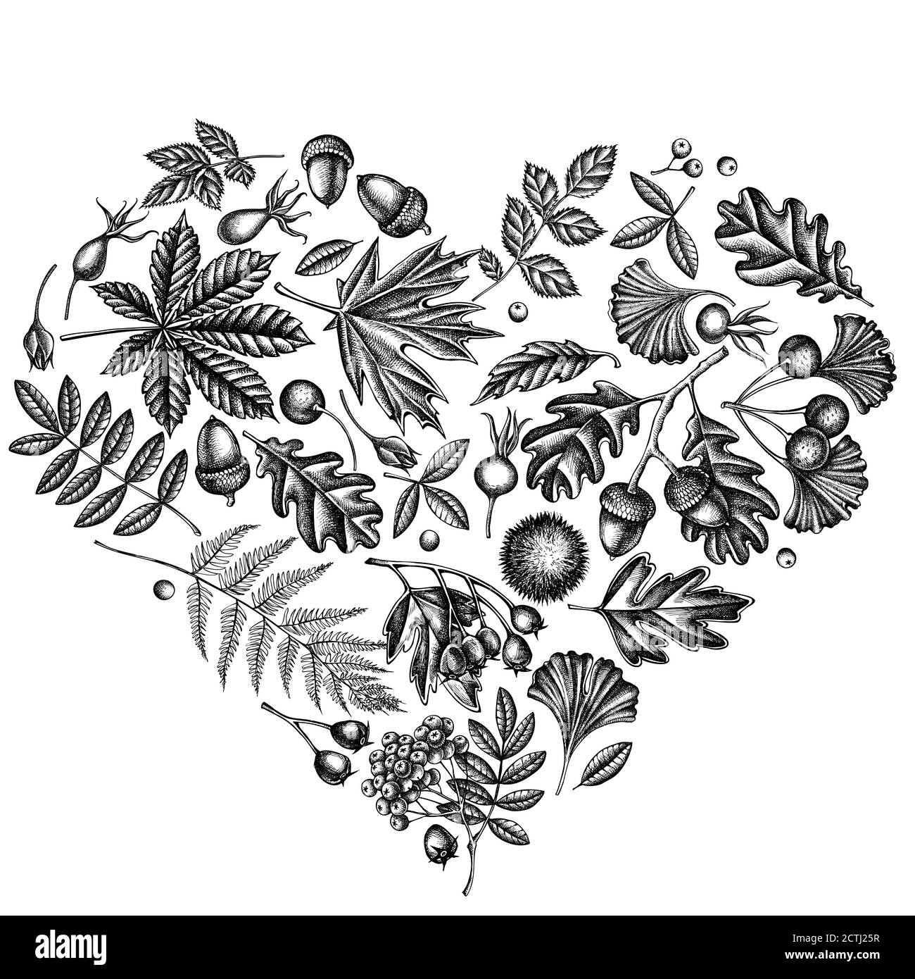 Coeur avec fougères noir et blanc, rose chien, rowan, ginkgo, érable, chêne, châtaignier, châtaignier, aubépine Illustration de Vecteur